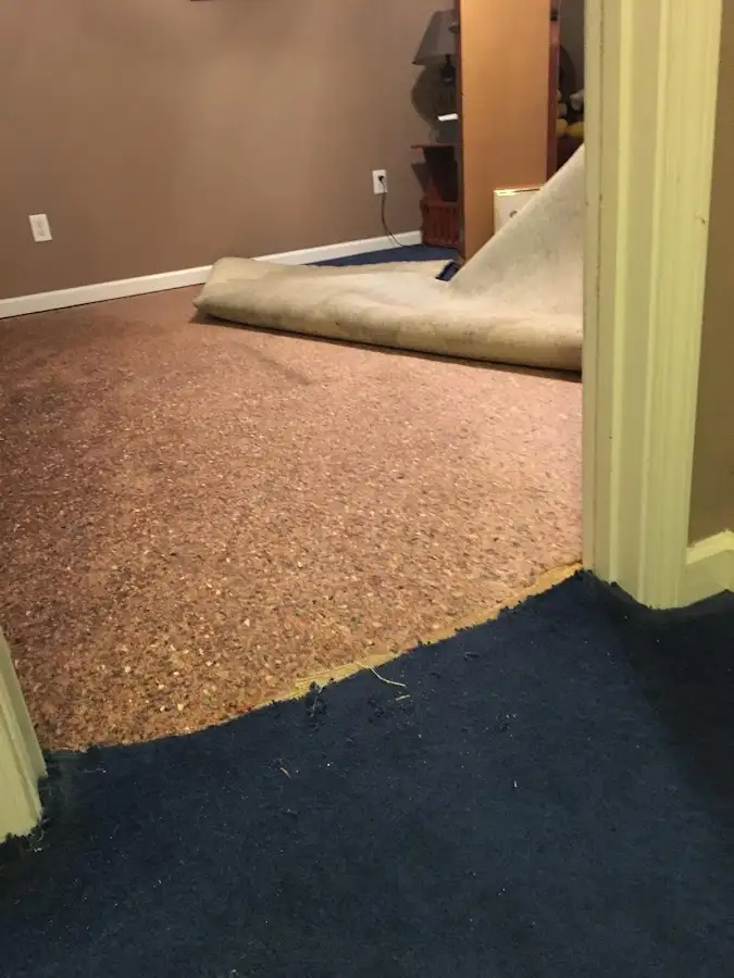 Carpet pad removal revealing water damage during Drying & Dehumidification in Warr Acres